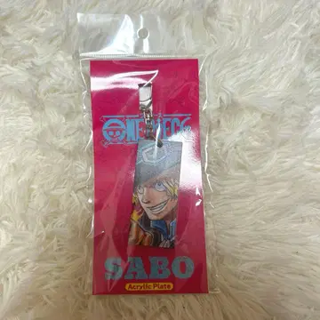ONEPIECE 아크릴 플레이트 사보 ONEPIECEDAY