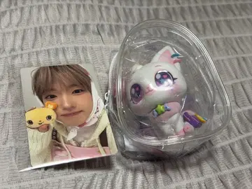 NCTWISH WISHCAT 사쿠야 베이커리 랜트레