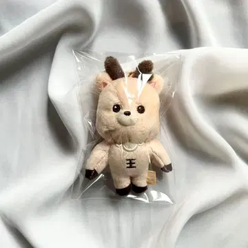 RIIZE 8cm 키링 봉제 인형 우라밤 성찬