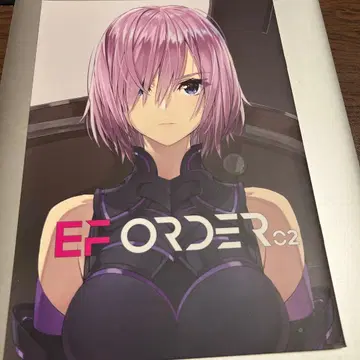 EF ORDER C2 설정 자료집 fgo Fate Grand Order