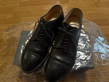 Alden 56251 코도반 7 1/2D