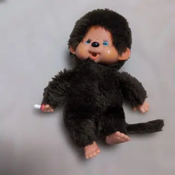 초기 몽치치