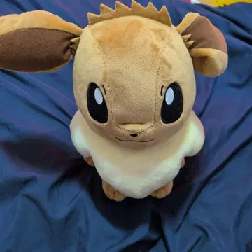 포켓몬 이브이 봉제 인형
