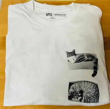 UNIQLO UT Magnum Photos 고양이 티셔츠 화이트 L