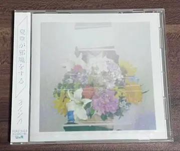 요루시카 여름풀이 방해가 돼 (일반 버전)