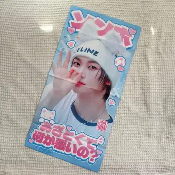 보이넥 보넥도 손호 슬로건