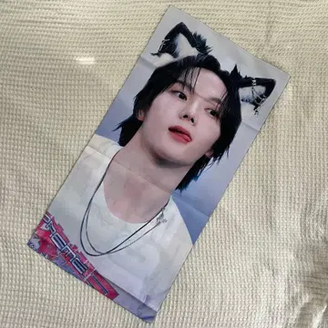 보이넥 보넥도 손호 슬로건