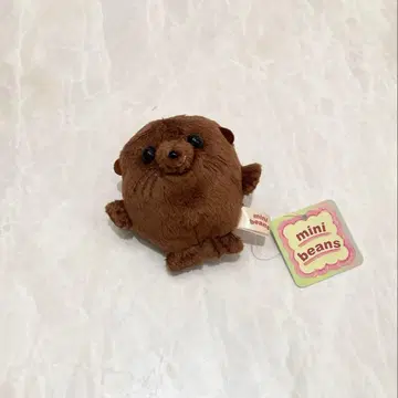 mini beans 물개 봉제 인형