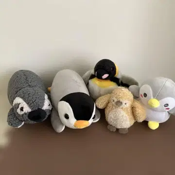 펭귄 봉제 인형 5개 세트 펭귄을 아주 좋아해