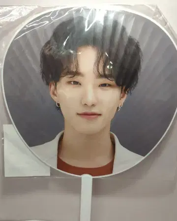 SEVENTEEN 2021HARE HOSHI IMAGE PICKET