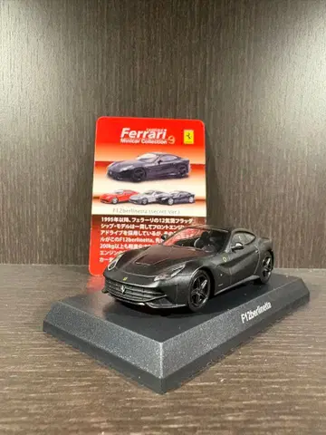 [ 시크릿 ] 페라리 F12 베를리네타
