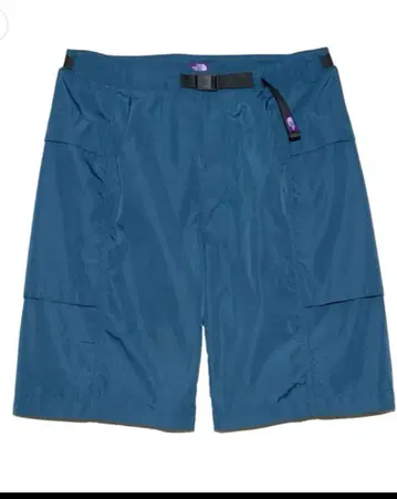 THE NORTH FACE PURPLE LABEL 숏팬츠