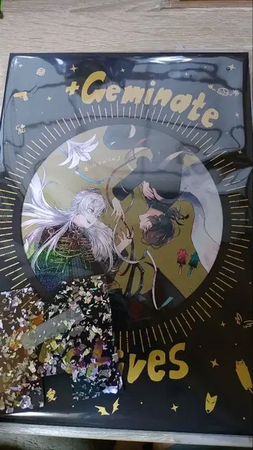 ChroNoiR +Geminate archives3