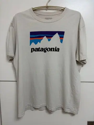 ptatagonia 미국제 MADE IN USA 빈티지 티셔츠