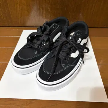 VANS 스니커즈 24.5cm
