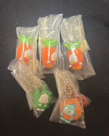 산리오 베지터블 비스킷 참 한교동 포차코 오리 페클