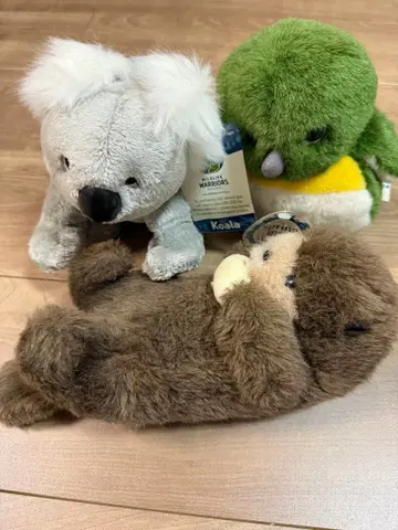 Wildlife Warriors 코알라 새 랏코 봉제 인형 3종 세트
