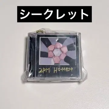 2PM 미니 CD 컬렉션 키링 시크릿