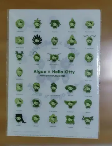 Algae x Hello Kitty 클리어 파일 Expo 2025
