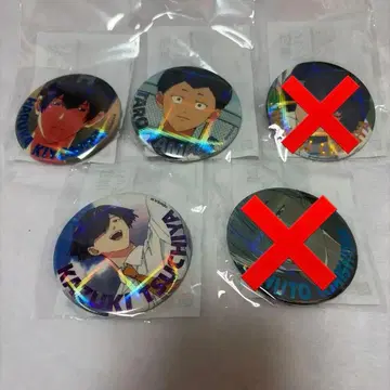 망각 배터리 호로호로 캔뱃지 청봉 엽류화 B