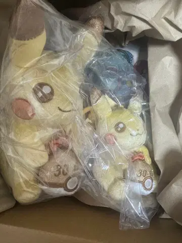 포켓몬 30주년 기념 피카피카! 피카츄 봉제 인형 세트