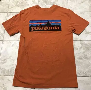 Patagonia 파타고니아 반팔 T셔츠 오렌지