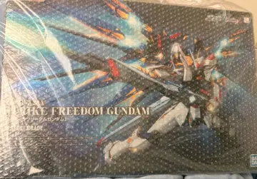 PG 스트라이크 프리덤 건담 ZGMF-X20A PERFECTGRADE