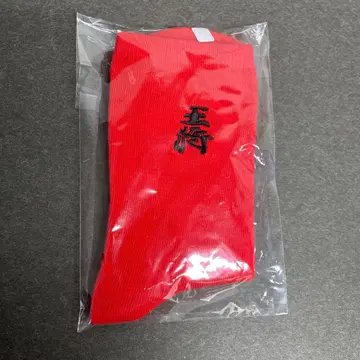 히카루의 바둑 원화전 양말 컬렉션 후지와라 사이