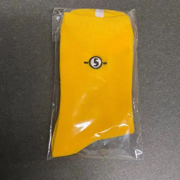 히카루의 바둑 원화전 양말 컬렉션 후지와라 사이