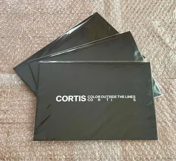 CORTIS 코르티스 혜택 거치대 포함 비주얼 카드 3장