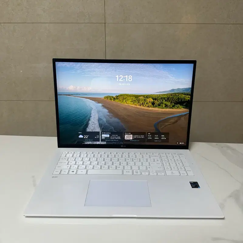 2021 17인치 i7 11세대 16G 엘지 그램 노트북 17Z90P B