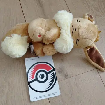 포켓몬 이브이 봉제 인형 누워있는 포켓몬 센터 택 포함