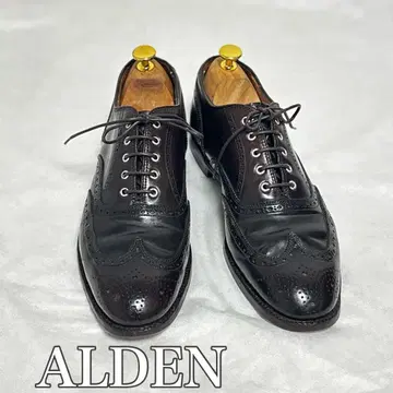 Alden 윙팁 드레스 슈즈 1350 쉘 코도반