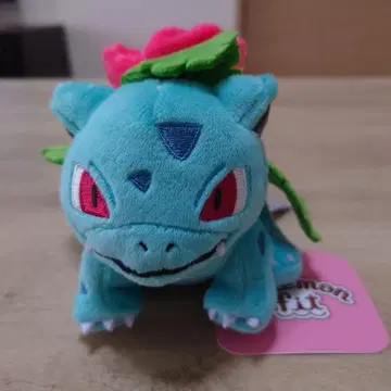 Pokemon fit 이상해풀 봉제 인형