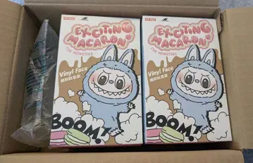 러브럽 POP MART THE MONSTERS EXCITING 2개