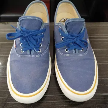 VANS x ANTIHERO Pro 스니커즈 블루