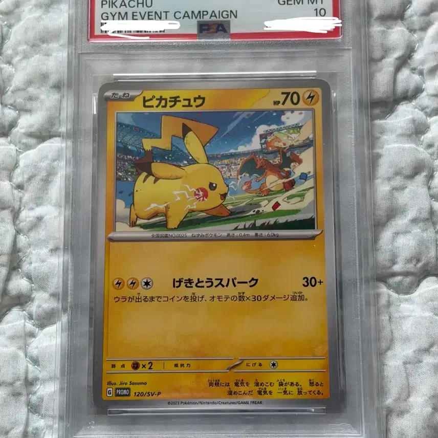 포켓몬 PSA10 2023 포켓몬 카드 피카츄 짐 이벤트 캠페인 사진 1