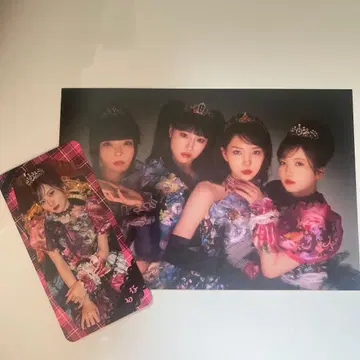팬텀 시타 모나 액막이 카드 메시지 카드