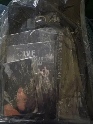 IVE 도쿄돔 VIP 혜택