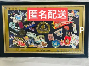도쿄 디즈니랜드 40주년 기념 핀 배지 16개 프레임 포함