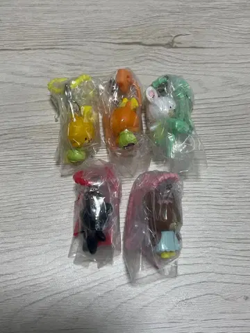 곰 학교 컬러풀 멀티 참 풀컴프