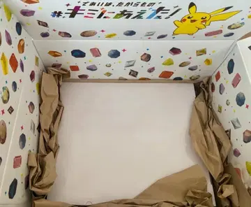 패키지 핀즈 올 패키지 컬렉션 1996-2025 포켓몬