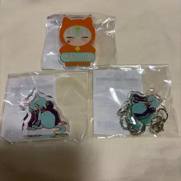 파라라이 파라 고양이 탓톤 고양이 미코시바 켄타