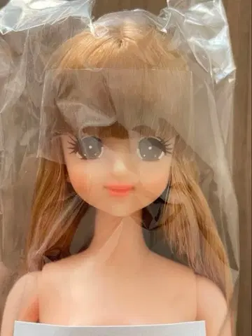 리카짱 캐슬 오타노시미 인형 초대 제니 인형 본체