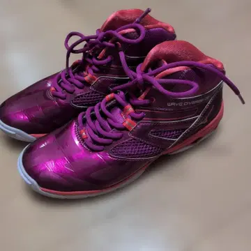 MIZUNO 웨이브 다이버즈 24cm Wave Diverge 미즈노