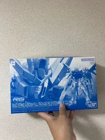 RG 1/144 빌드 스트라이크 건담 풀 패키지 RG 시스템