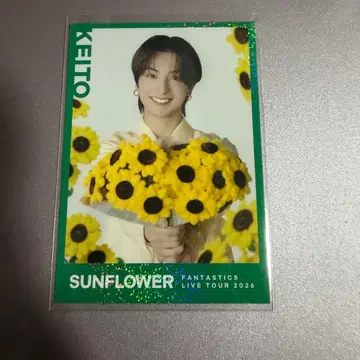 FANTASTICS 기무라 케이토 포토 카드 SUNFLOWER 시크릿