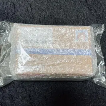 ZB1 zeroni binini 비니니 봉제 인형 성한빈