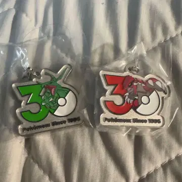 포켓몬 30주년 메탈 참 마스코트 레쿠자 가이오가 관동
