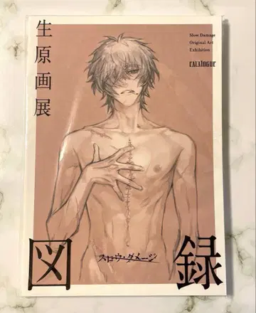 슬로우 데미지 생원화전 도록 슬로우 데미지